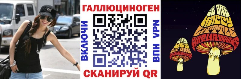 даркнет сайт omg вход Псилоцибиновые грибы прущие грибы Чайковский